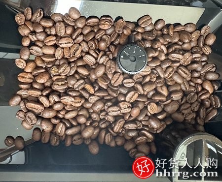 德颐DE320全自动咖啡机，咖啡机品牌排行榜前十名插图4